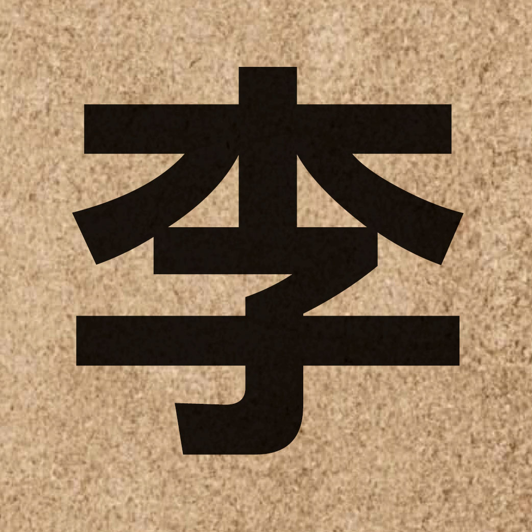 00534 Chinese character of 李 and pronounce lei5