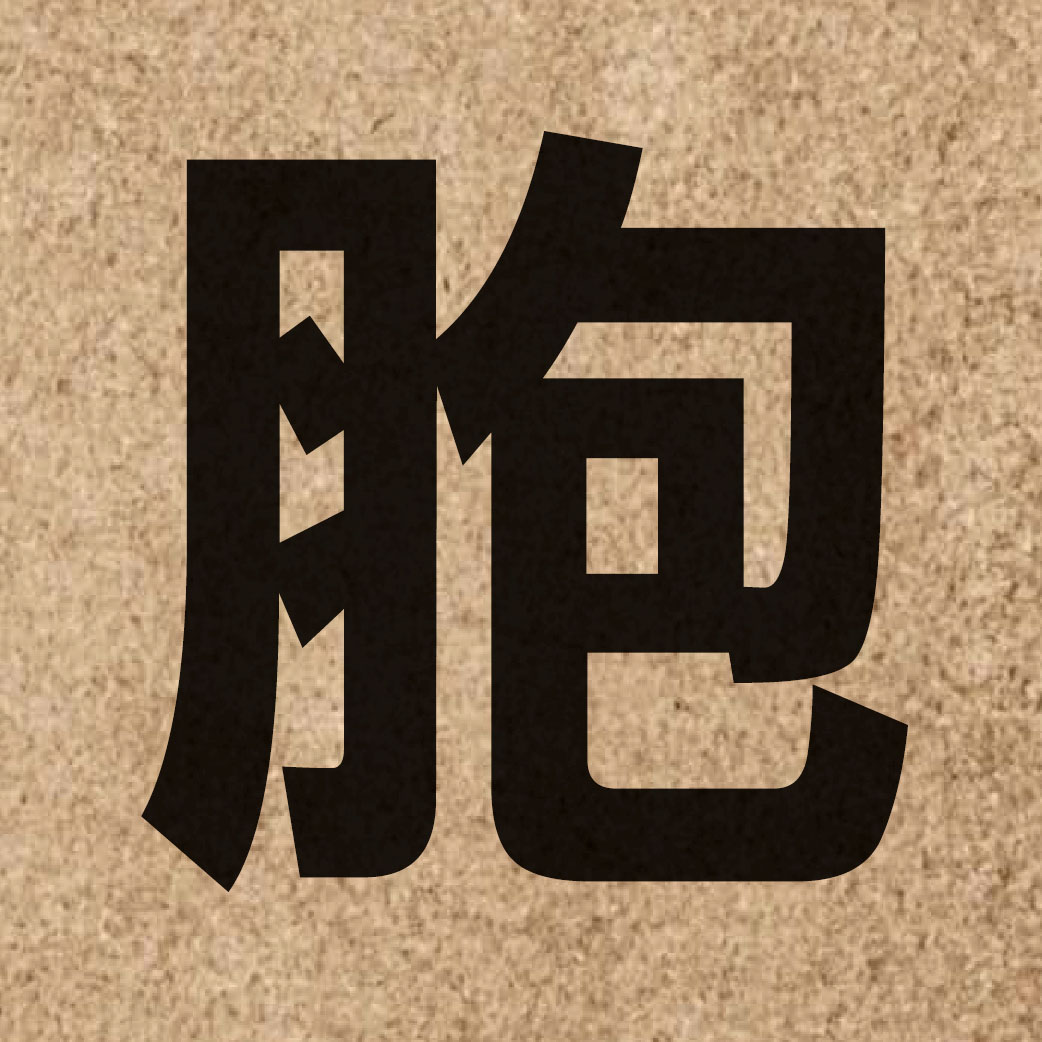 00934 Chinese character of 胞 and pronounce baau1