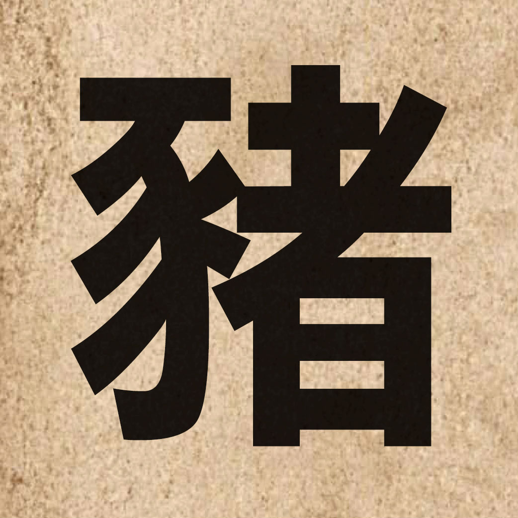 01111 Chinese character of 豬 and pronounce zyu1