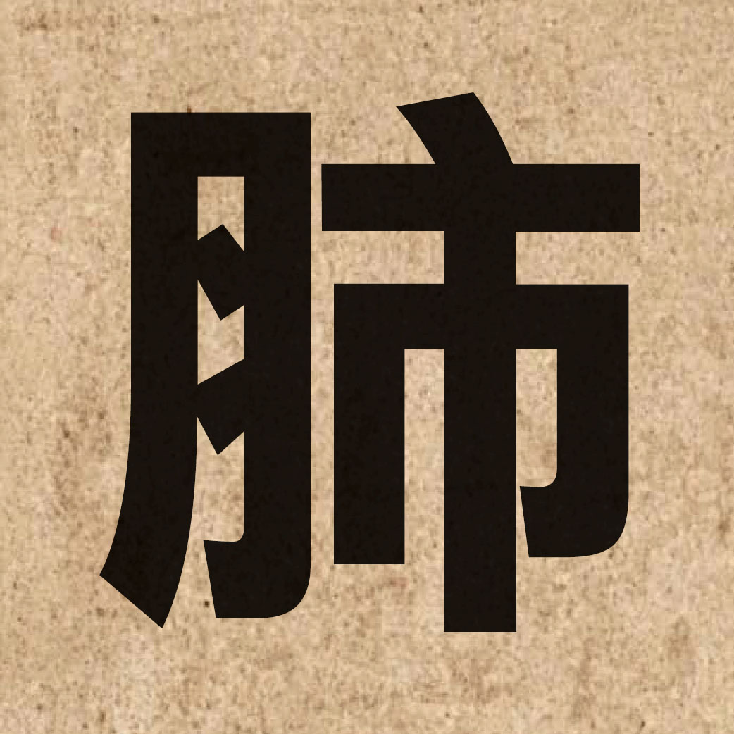 02131 Chinese character of 肺 and pronounce fai3
