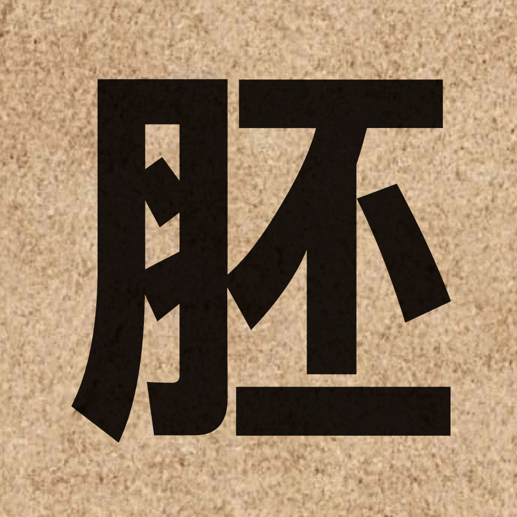 02265 Chinese character of 胚 and pronounce pui1