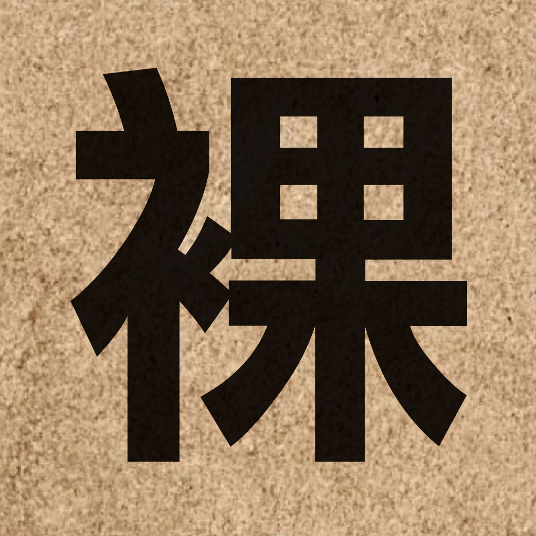 02535 Chinese character of 裸 and pronounce lo2