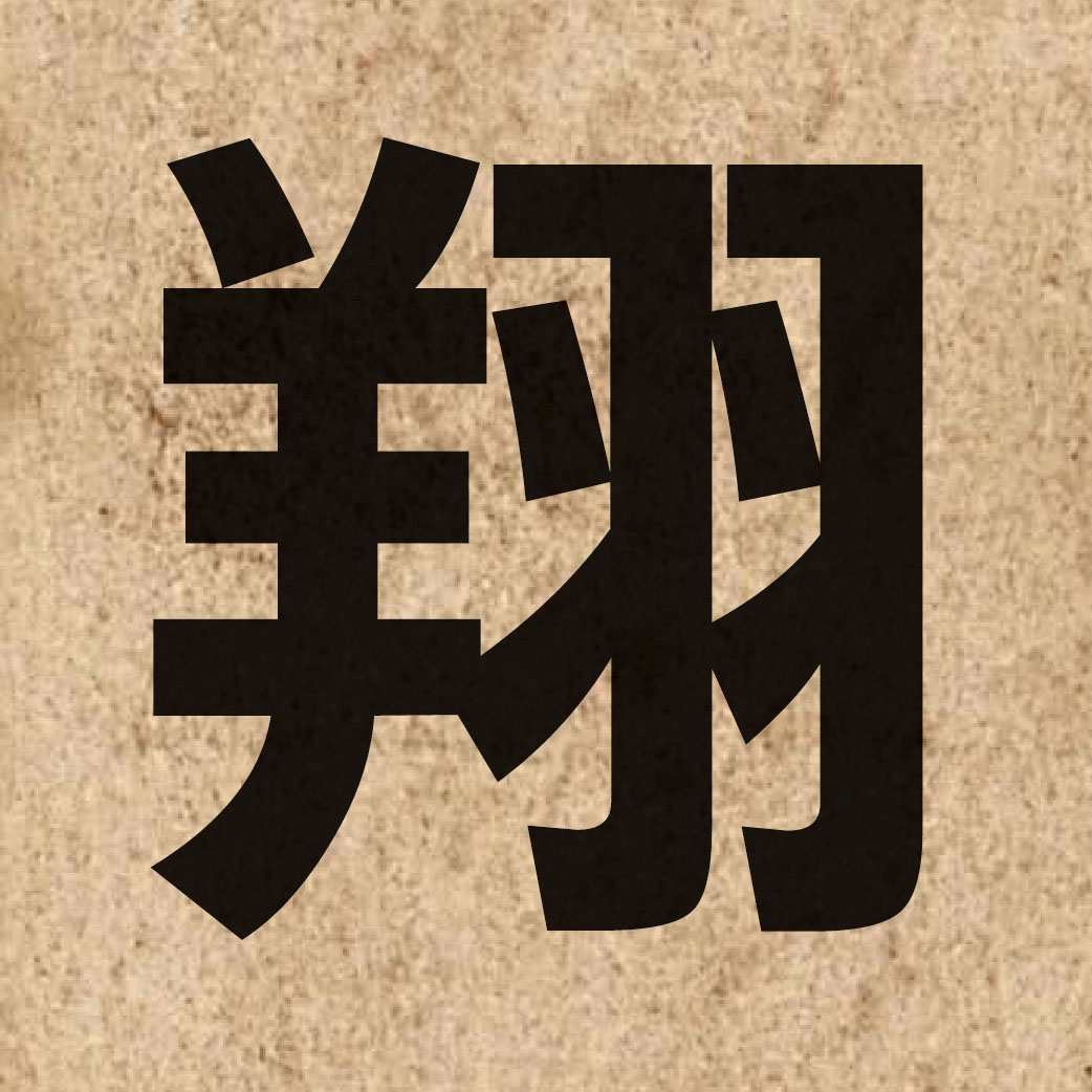 02541 Chinese character of 翔 and pronounce coeng4