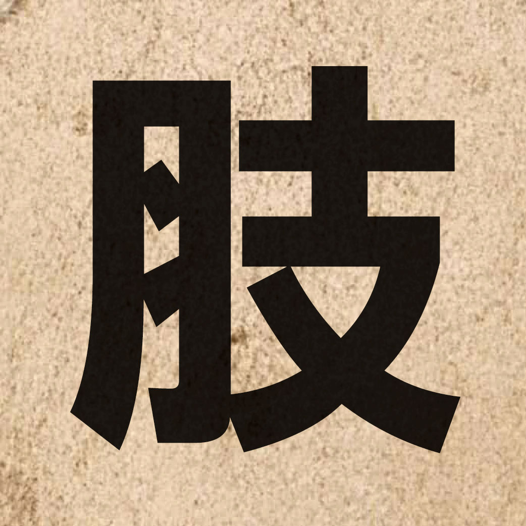 02601 Chinese character of 肢 and pronounce zi1