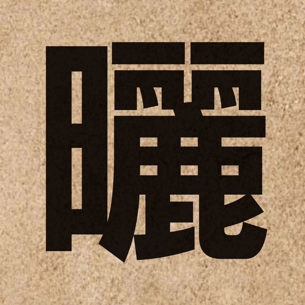 02753 Chinese character of 曬 and pronounce saai3