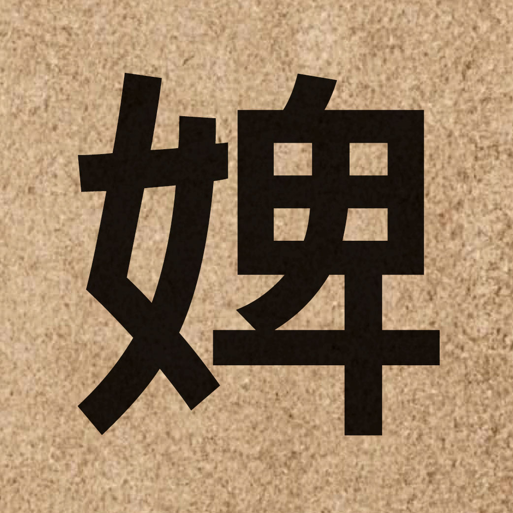 03634 Chinese character of 婢 and pronounce pei5
