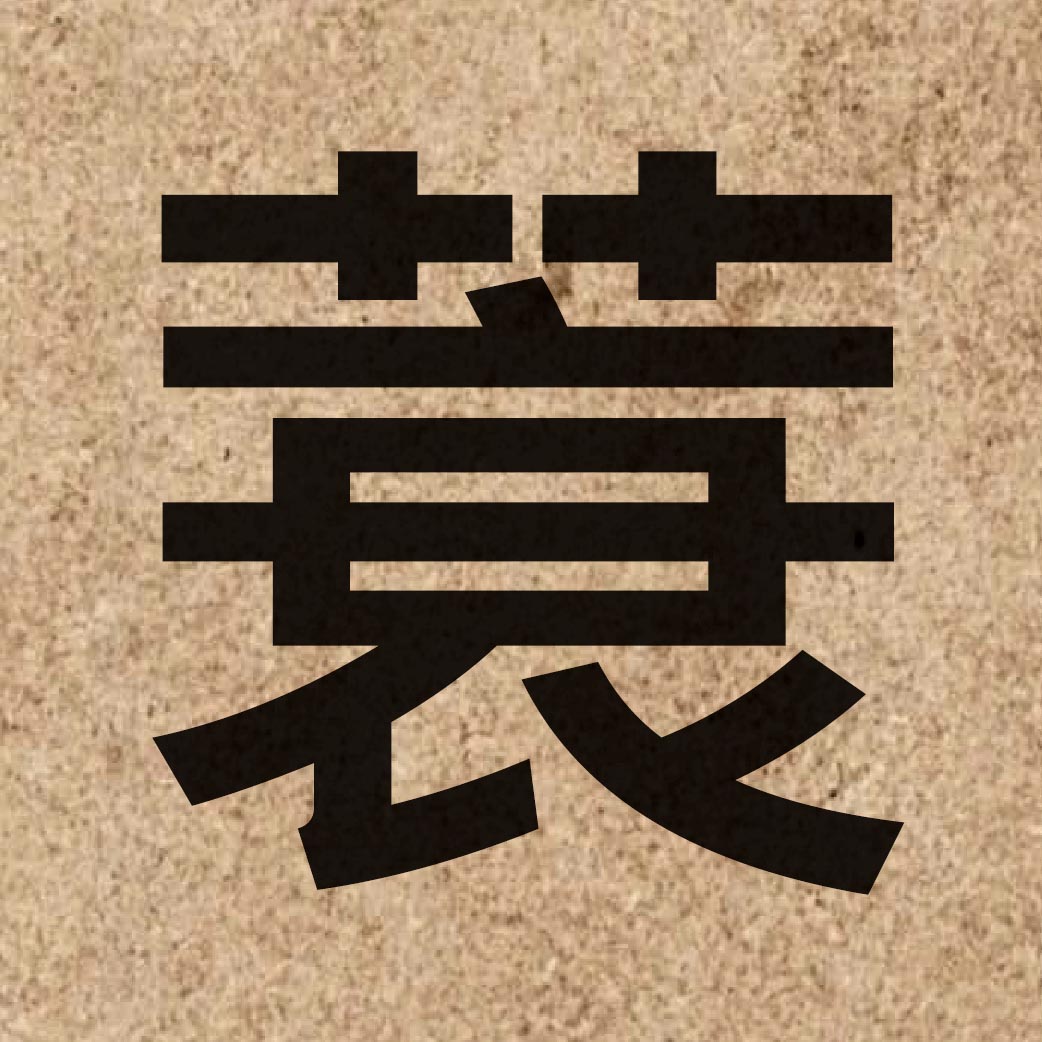 04066 Chinese character of 蓑 and pronounce so1