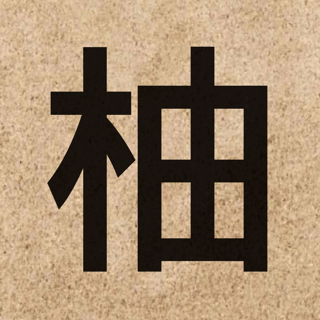 05227 Chinese character of 柚 and pronounce jau2
