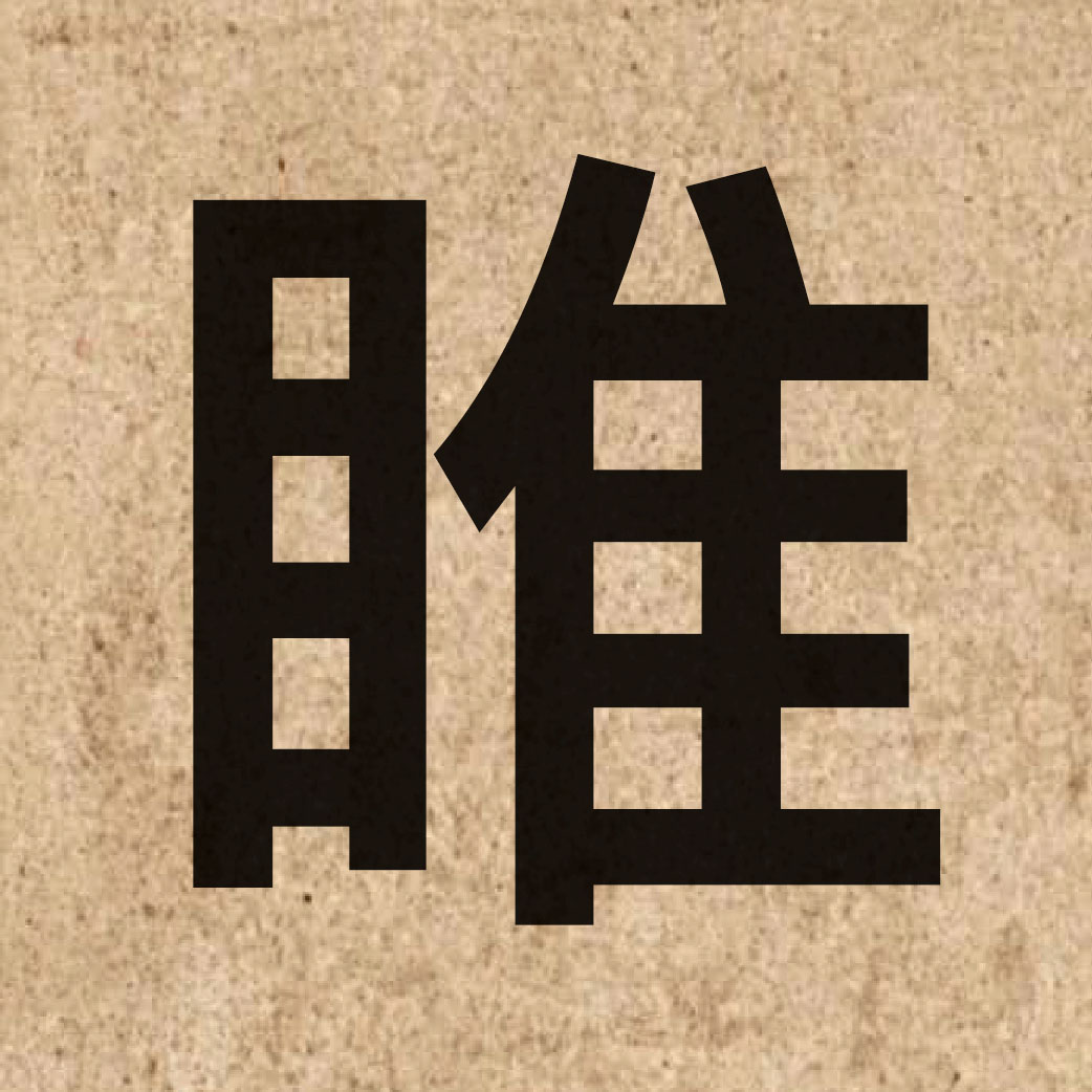 05331 Chinese character of 睢 and pronounce seoi1