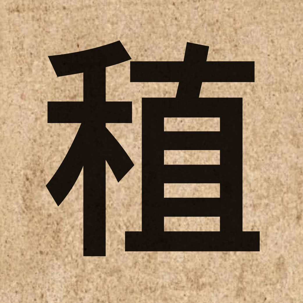 05631 Chinese character of 稙 and pronounce zik6