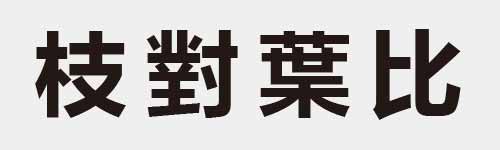 4 characters Idiom and proverb 11 777