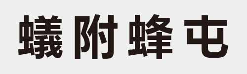 4 characters Idiom and proverb 29 206