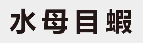 4 characters Idiom and proverb 4 945